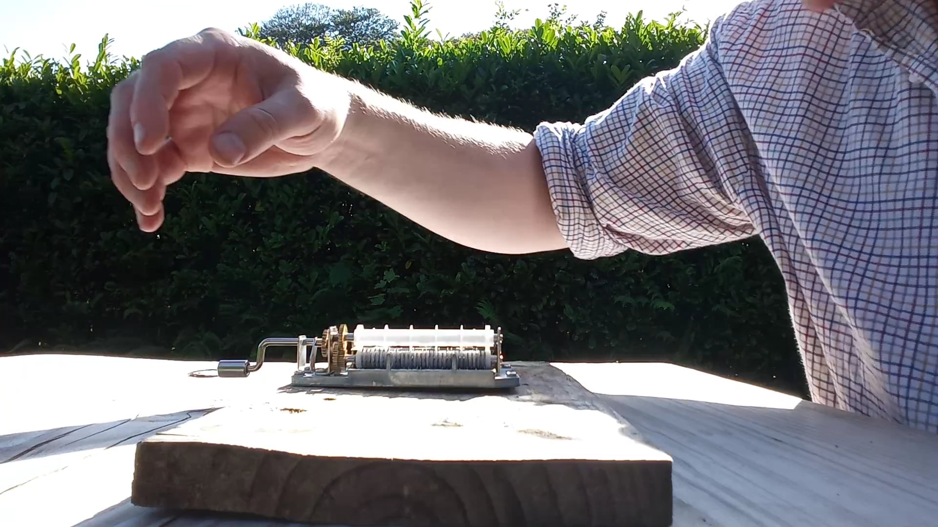 Musicbox Murmuration 3