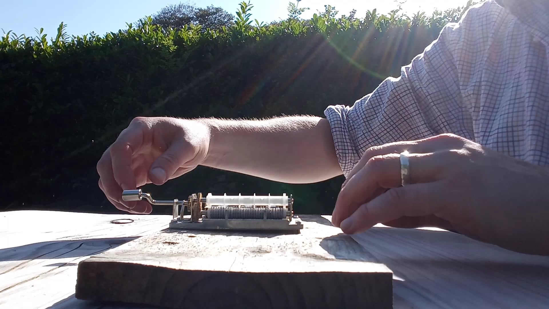 Musicbox Murmuration 4