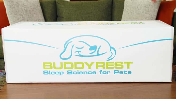 Buddy discount rest bed