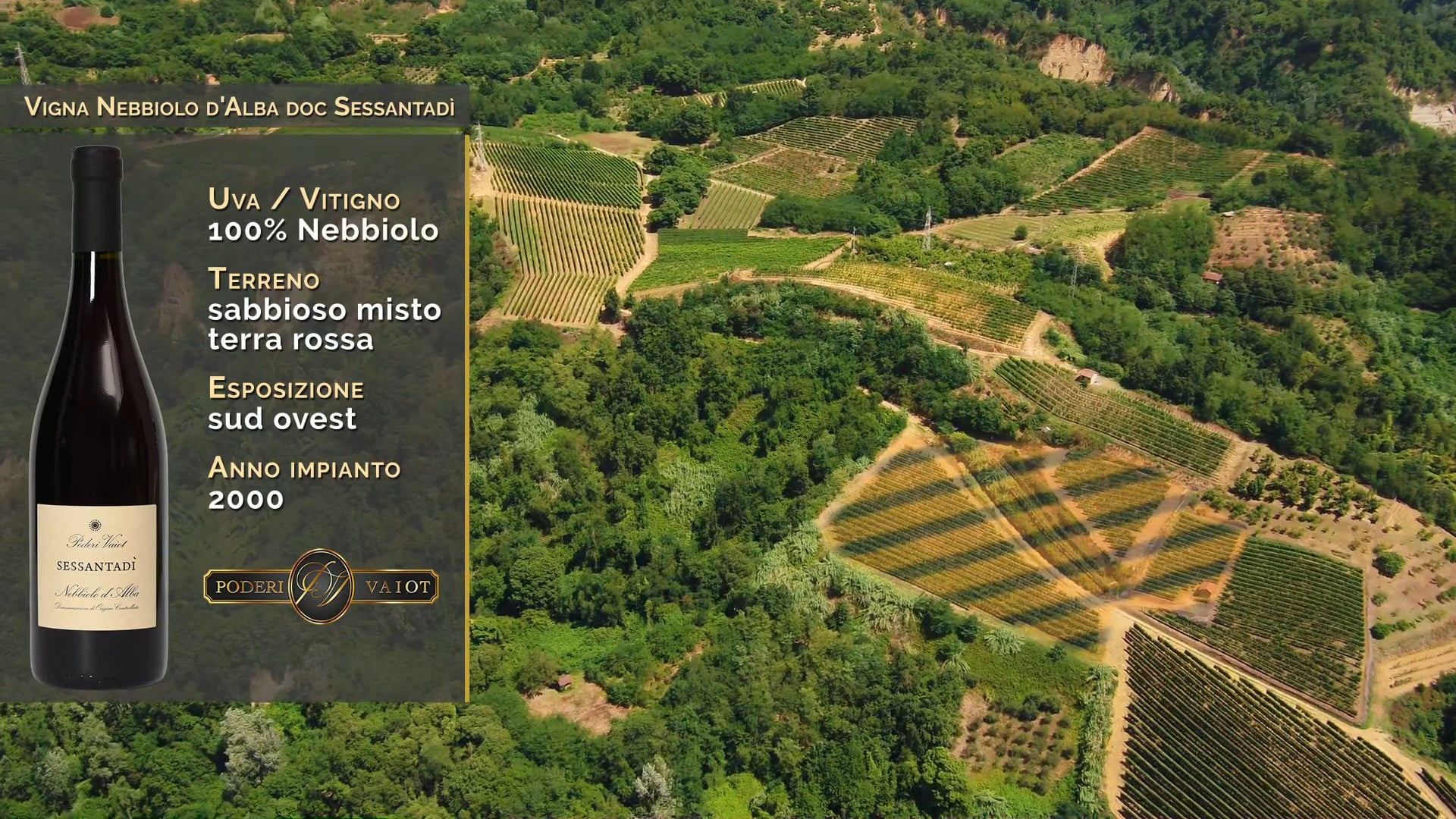 Bricco Morinaldo | La vigna del Nebbiolo Sessantadì
