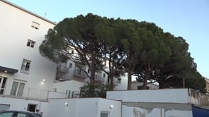Nou protocol a les residències amb test d'antígens obligatori