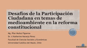 Desafíos de la Participación Ciudadana en temas de medioambiente en la reforma constitucional