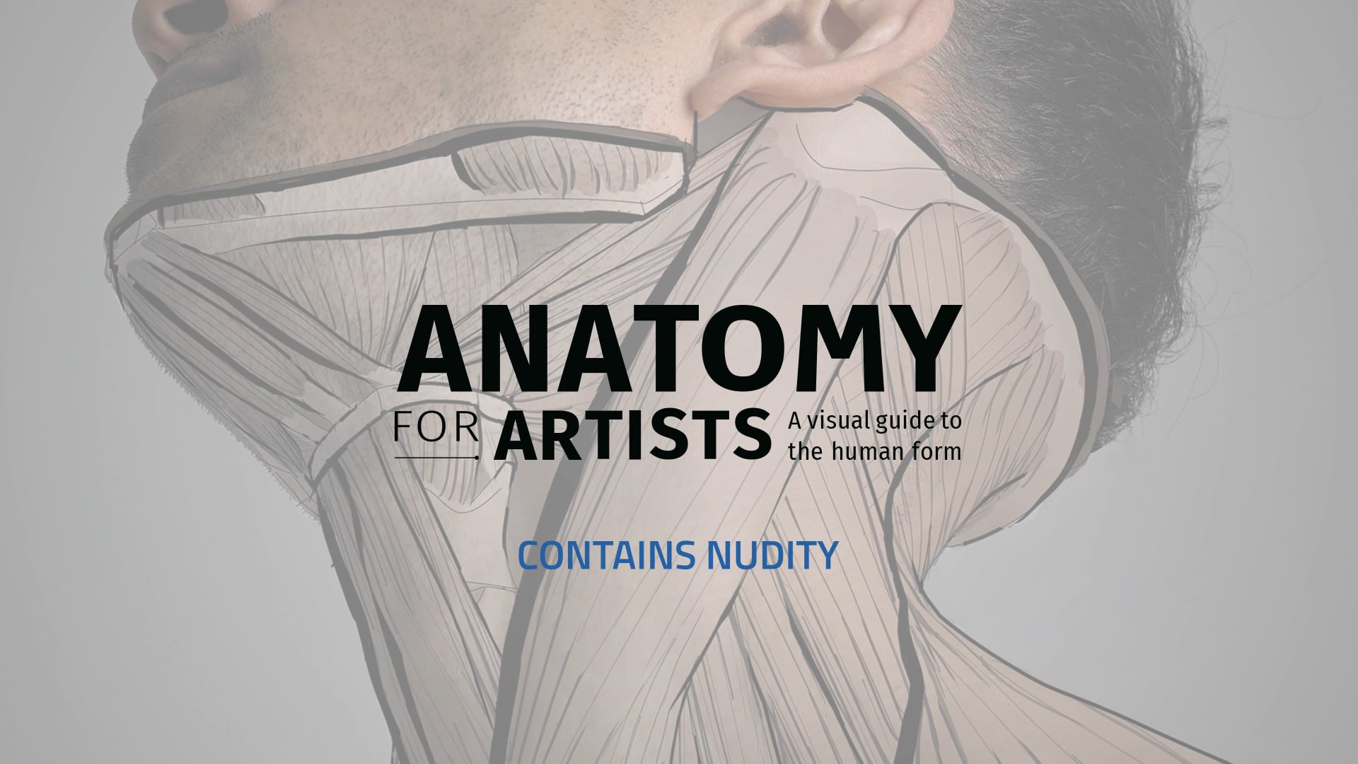 Anatomy for Artists - Flickthrough