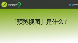 预览视图是什么