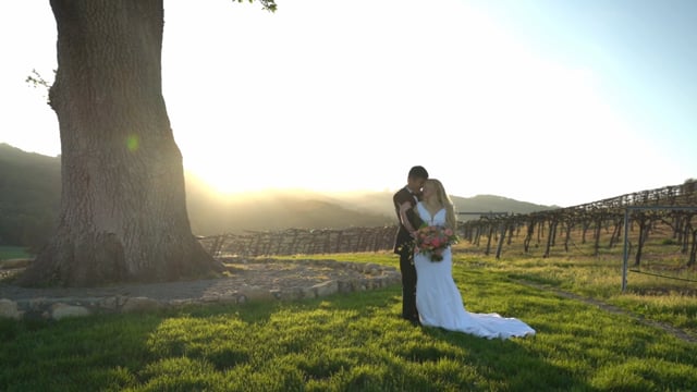 HammerSky Vineyards #2