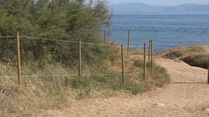 Tanca nova i neteja del bosc a les Planasses