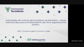 Actividades de vivencia del ecosistema de bienestar y valores institucionales para el fortalecimiento del clima organizacional positivo.
