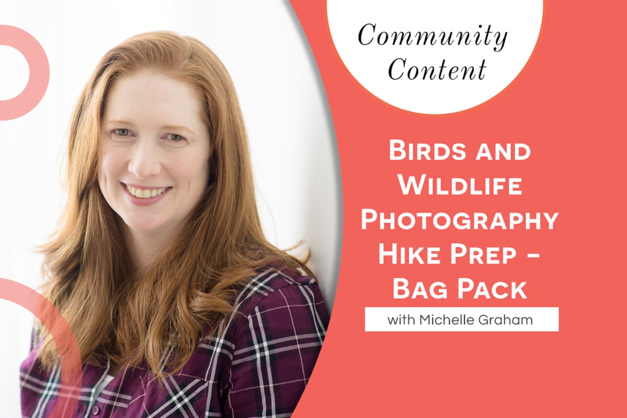 Birds and Wildlife Photography Hike Prep - Bag Pack with Michelle Graham