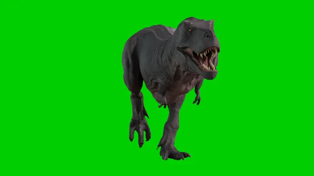 T-rex Running with Alpha Channel Tyranno, Stock Video