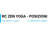 RC ZY - VT IL SERPENTE COBRA