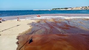 Una fuïta causa l'alarma entre els banyistes de Riells