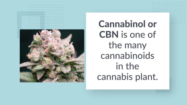 CBN - Cannabinol