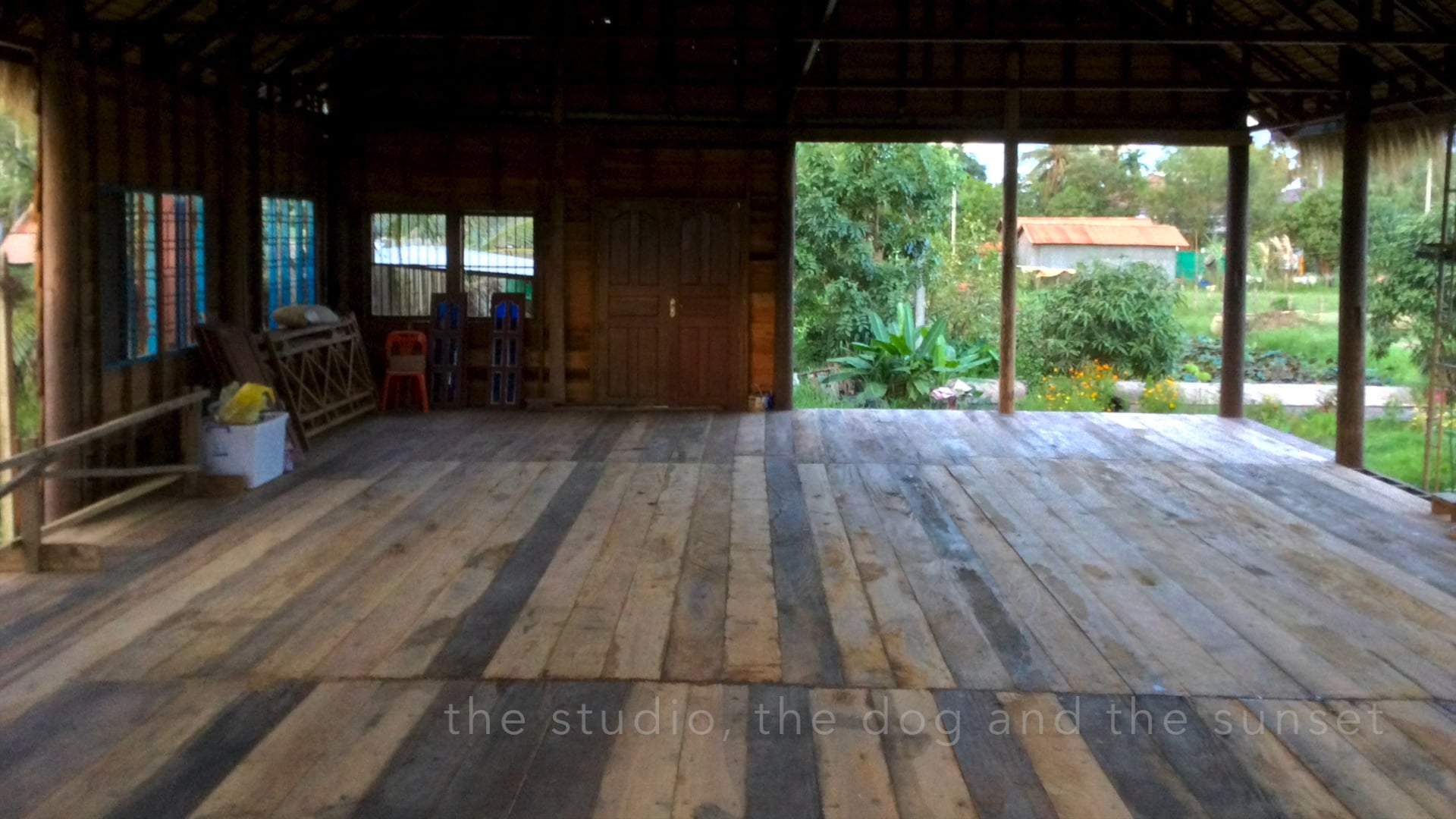 the studio, the dog and the sunset
