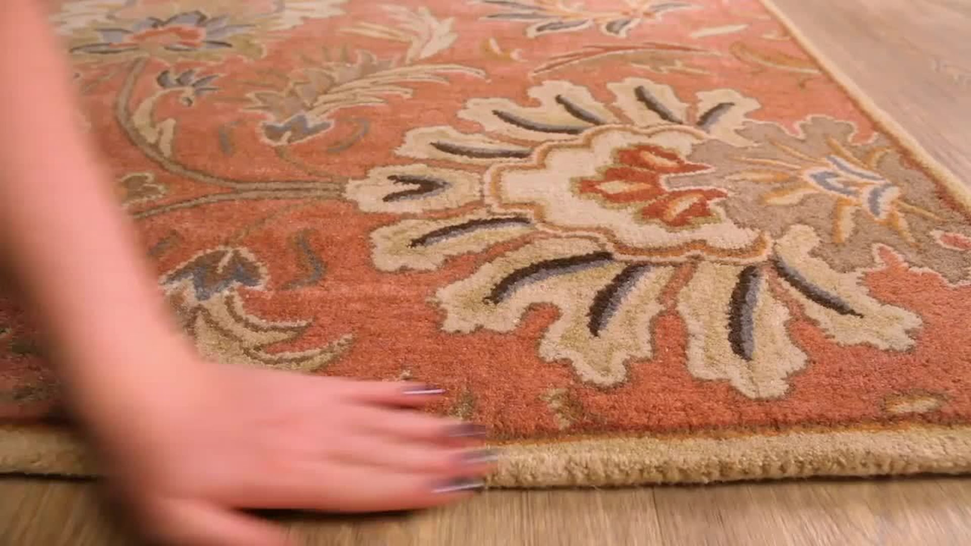 Caesar Area Rug, 4' x 6' - Traditional - Area Rugs - by PlushRugs | Houzz