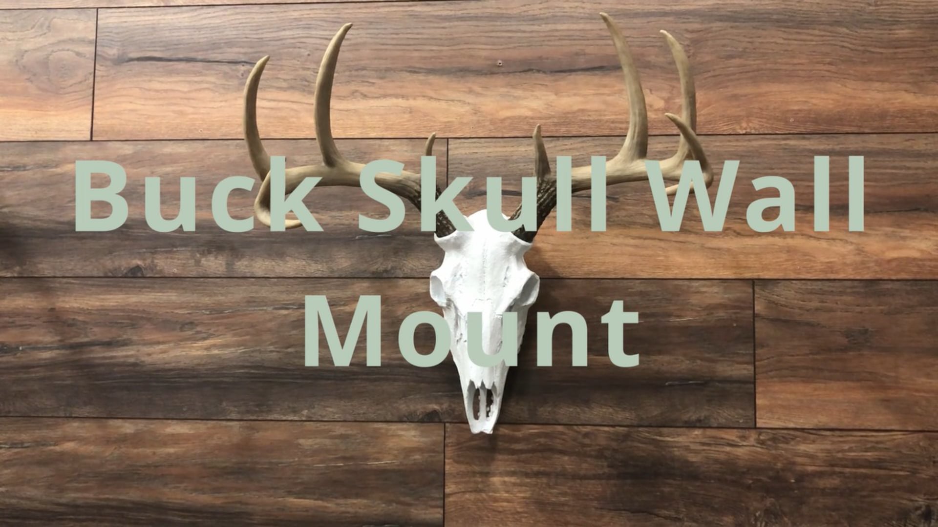 Deer Skull Wall Mount, Silver