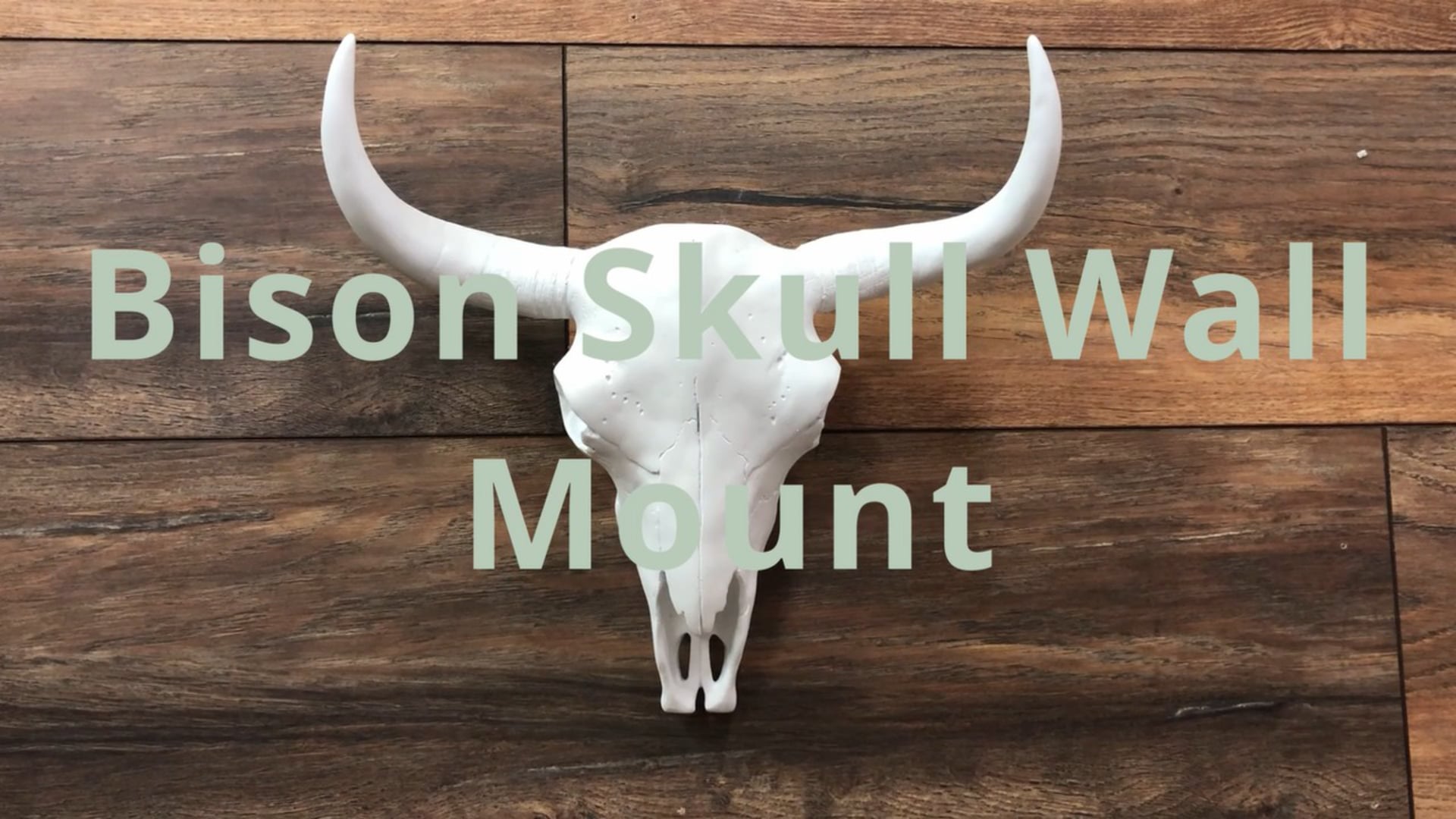 Bison Skull Head Wall Mount, White