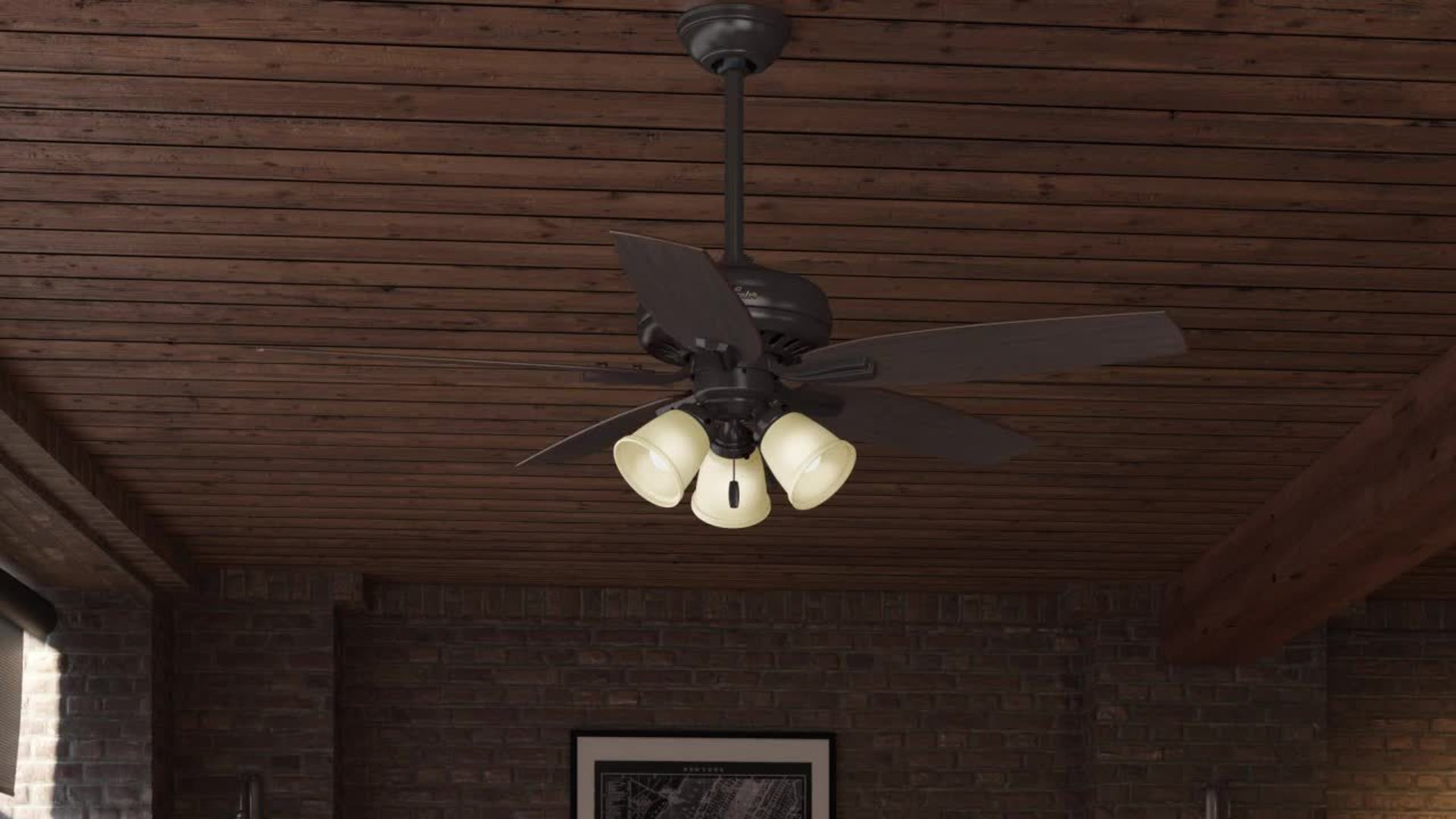Hunter Fan Company 52" Newsome Premier Bronze Ceiling Fan With Light  Traditional Ceiling Fans by Better Living Store Houzz