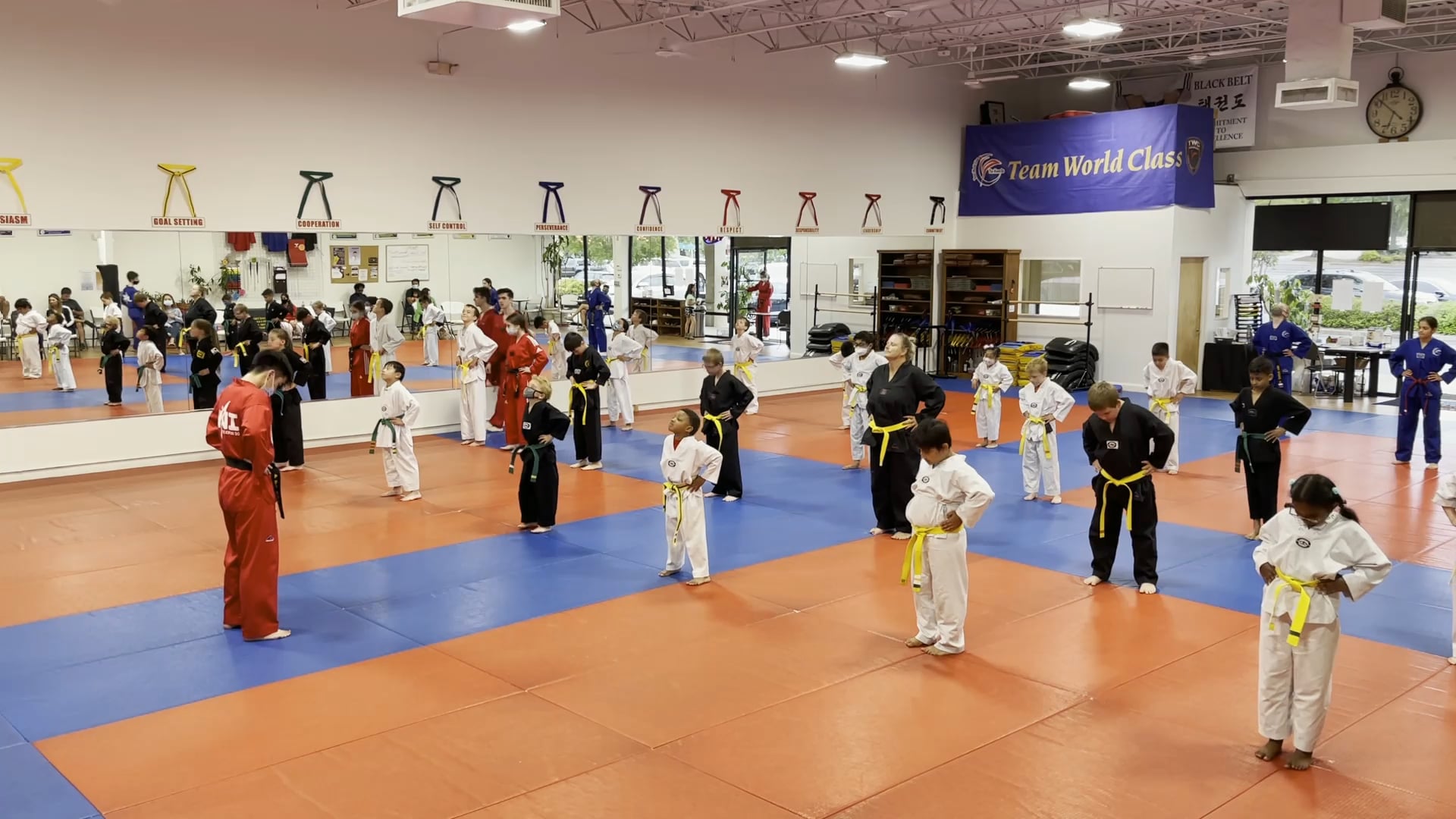 Warm-up_Stepping_Yellow & Green Belt