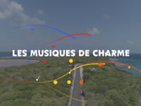 FHMG # 9 "Les musiques de charme"