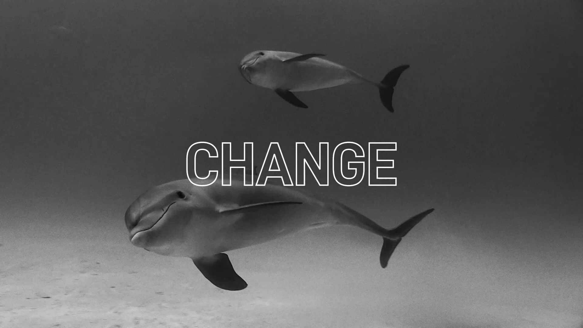 Change Can Happen