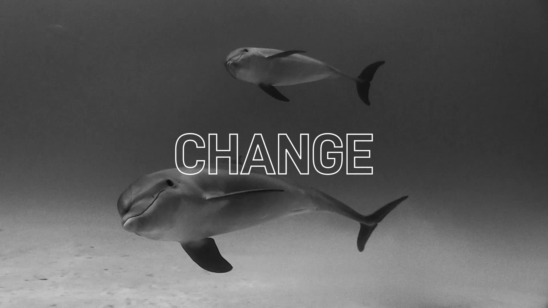 Change Can Happen