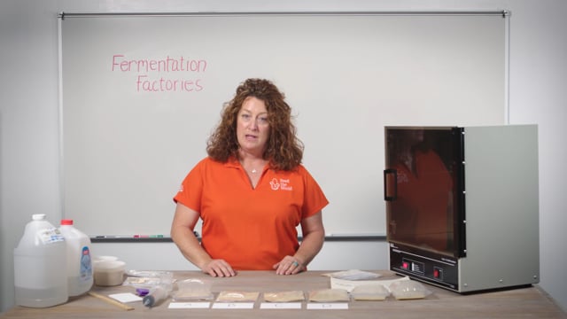 Fermentation factories