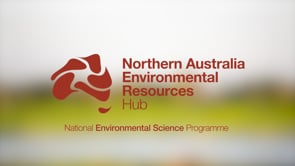 NESP Northern Hub wrap-up video