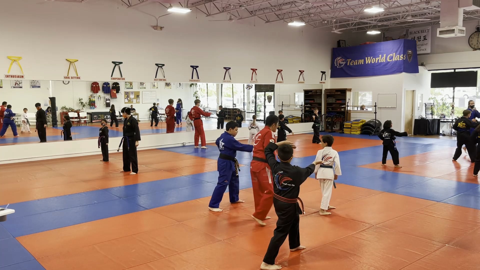 Curriculum Class_Green & Blue Belt