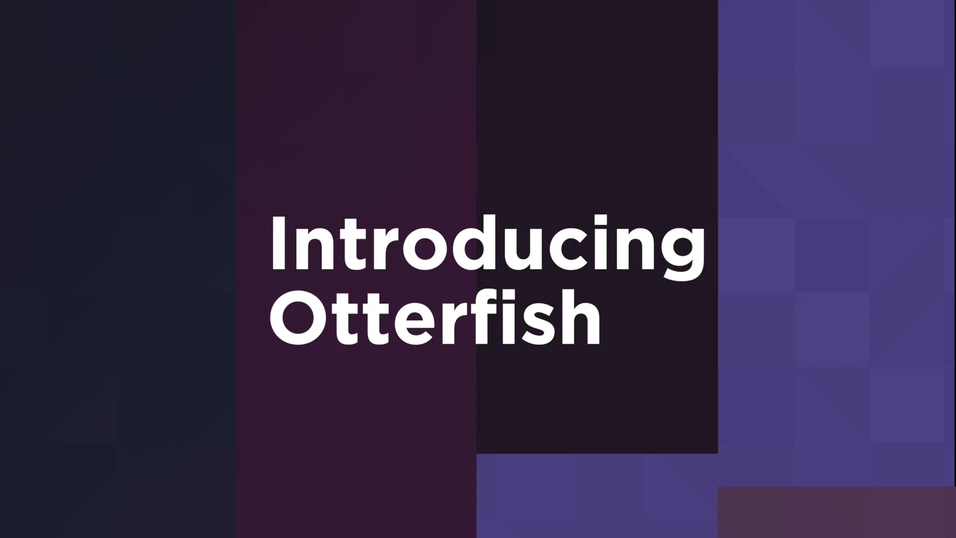 Introducing Otterfish-july-26.mp4  