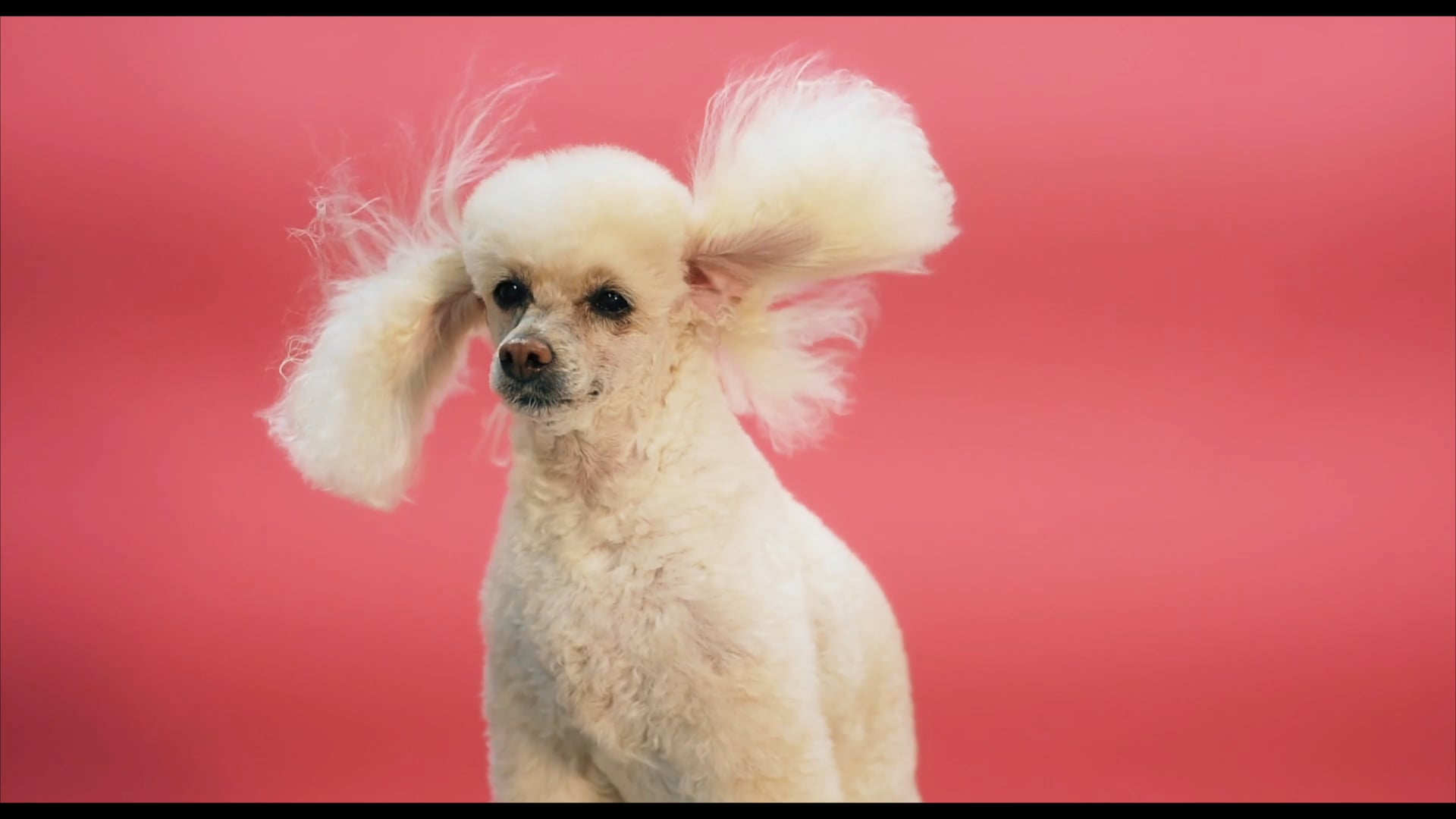 PixelWink – Editing Reel