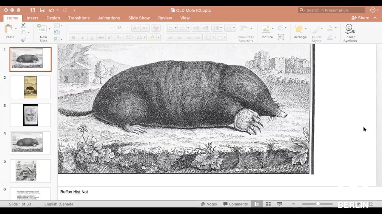 Talk by Rebecca Comay