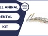 Small Animal Dental Kit - Veterinary Equipment