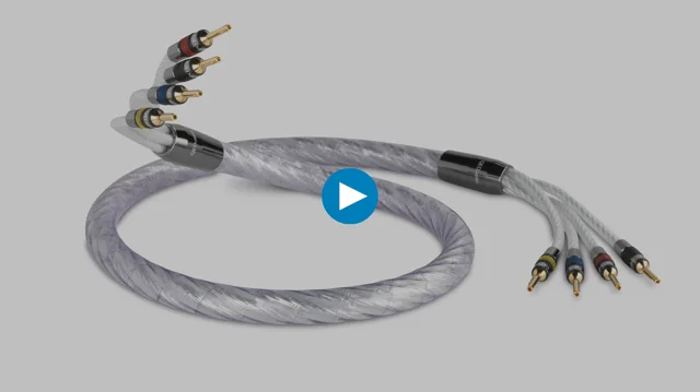 QED Genesis Silver Spiral Speaker Cable | Future Shop