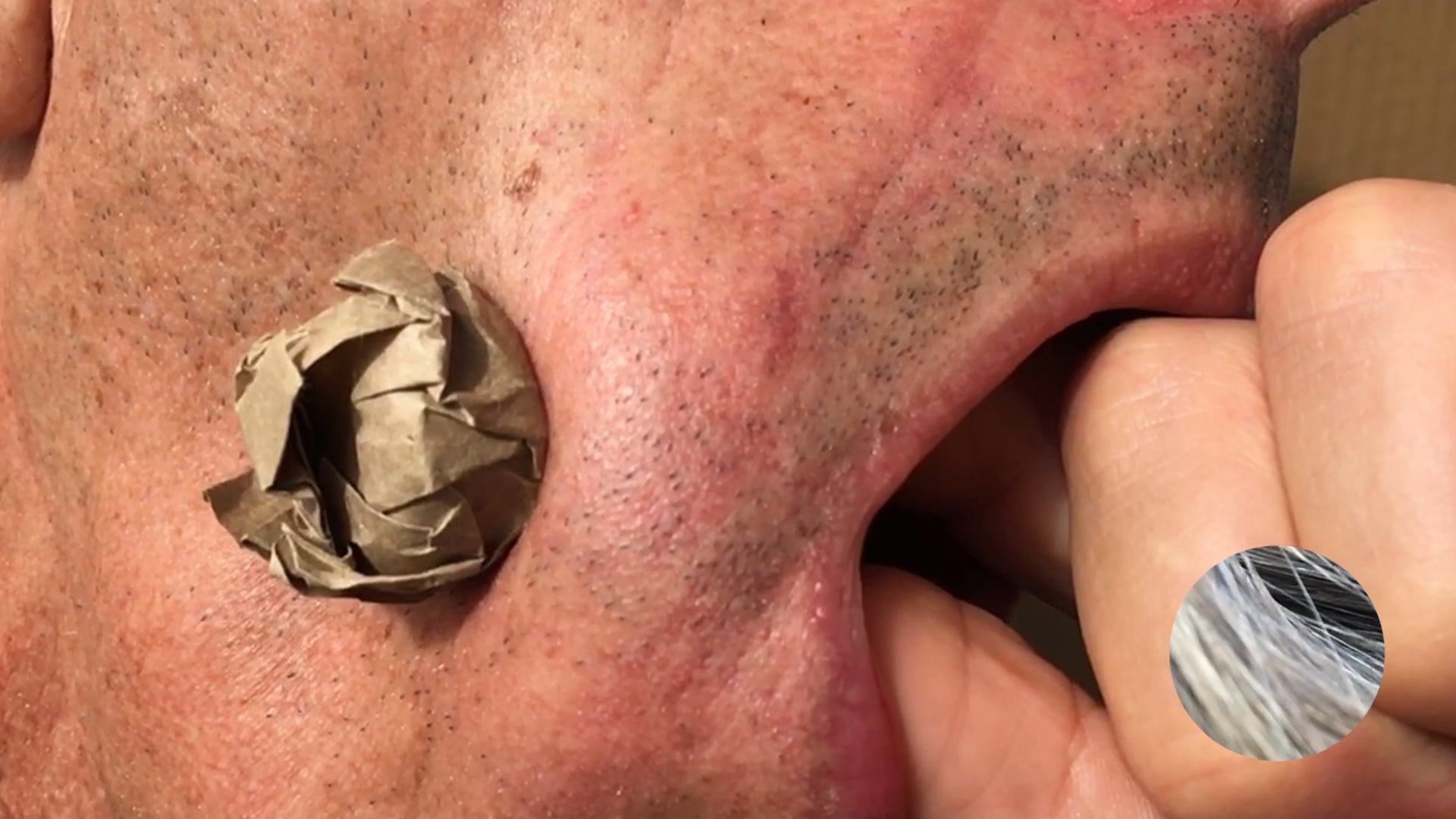 Inhabiting Your Tounge