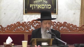שנת השמיטה והלכותיה  מנחם אב תשפא