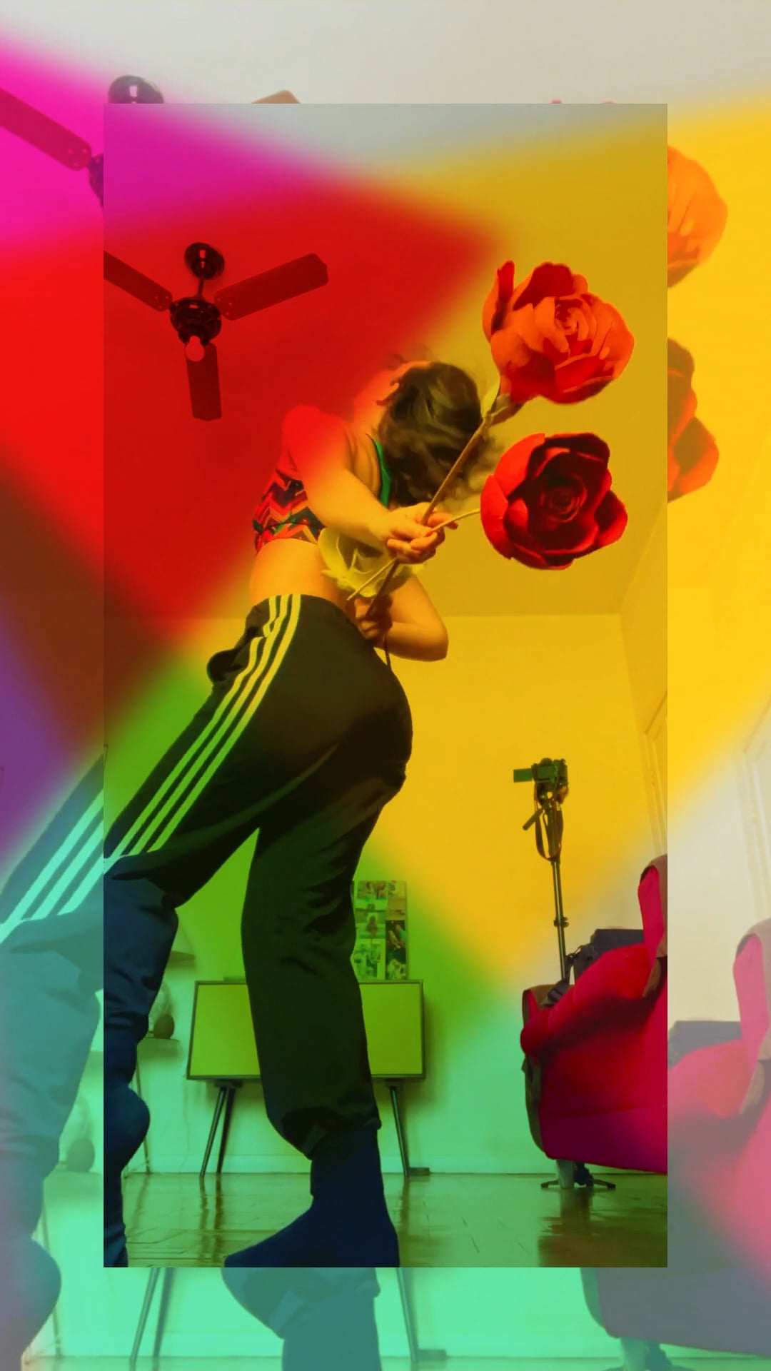 Flowers… on Vimeo