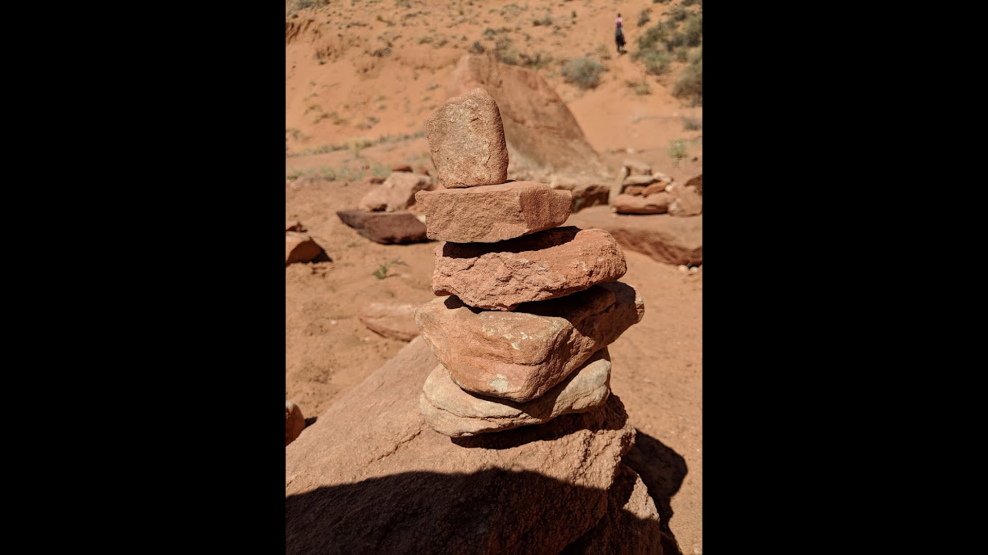 2021 July 19: Selfing is not the Enemy