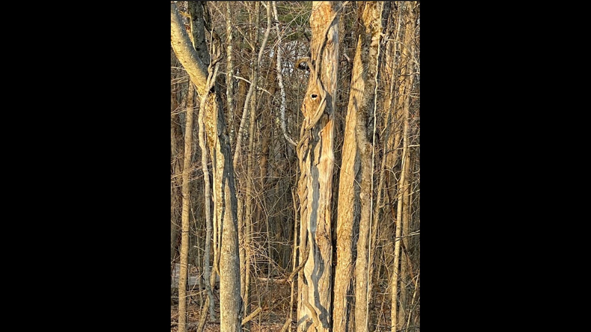 2021 July 20: The Problem with Perfectionism