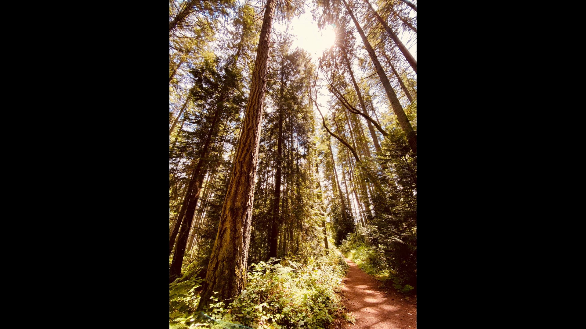 2021 July 22: The Dance of Both / And, Rather than Either / Or