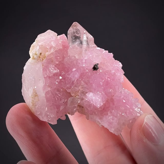 Rose Quartz on Quartz ex Hauck