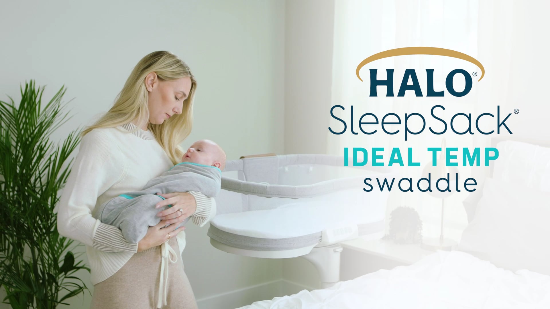 Halo bassinest swaddle sale