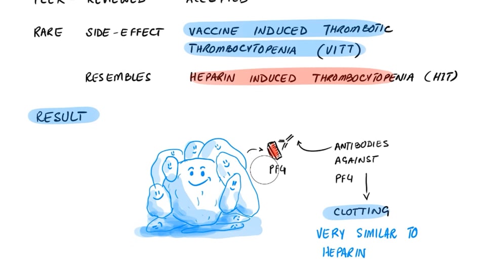 Vaccine Caused Clotting - Study Finds The Mechanism