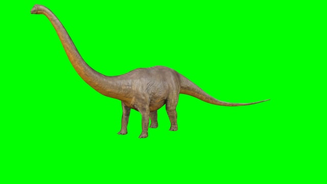 Dinosaurs Videos: Download 76+ Free 4K & HD Stock Footage Clips