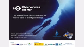 Es presenta la plataforma ciutadana 'Observadores del mar'
