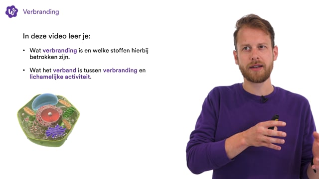 Oefen Met Verbranding En Ademhaling Uit Biologie Voor Jou / Bvj – 2/3 ...