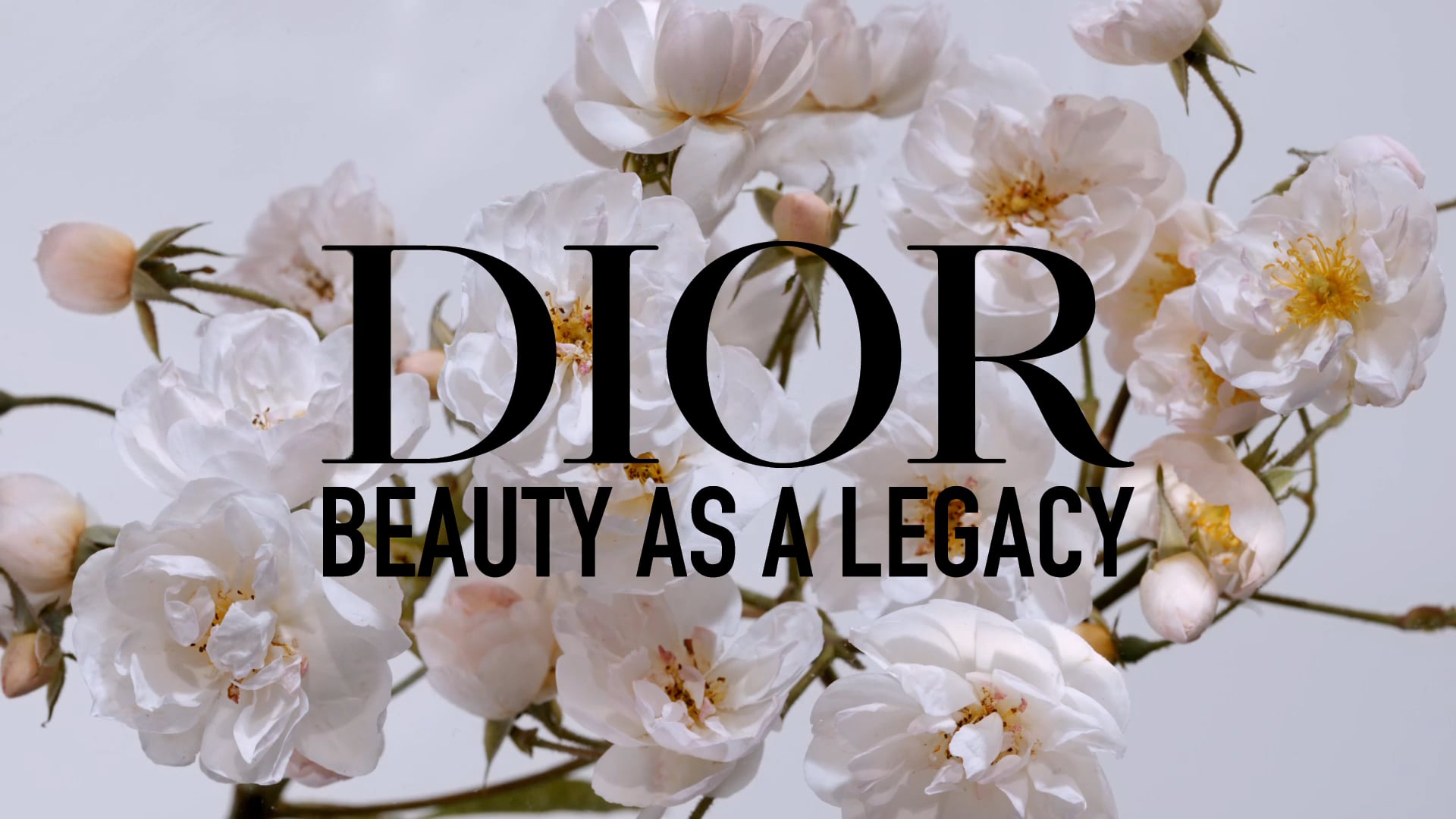 DIOR ⏤ BEAUTY AS A LEGACY