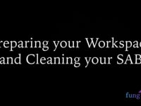 Cleaning your Workspace and Still Air Box