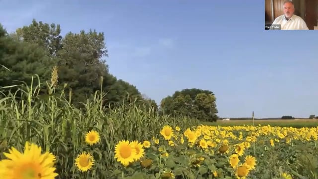 Sustainability and Ecosystems: Virtual Field Trip