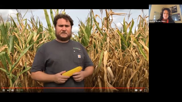Predicting Yield: Virtual Lesson