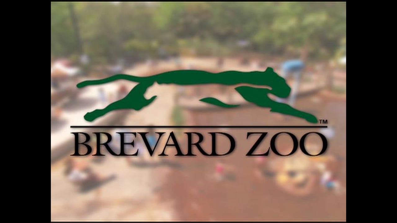 Brevard Zoo - Paws On